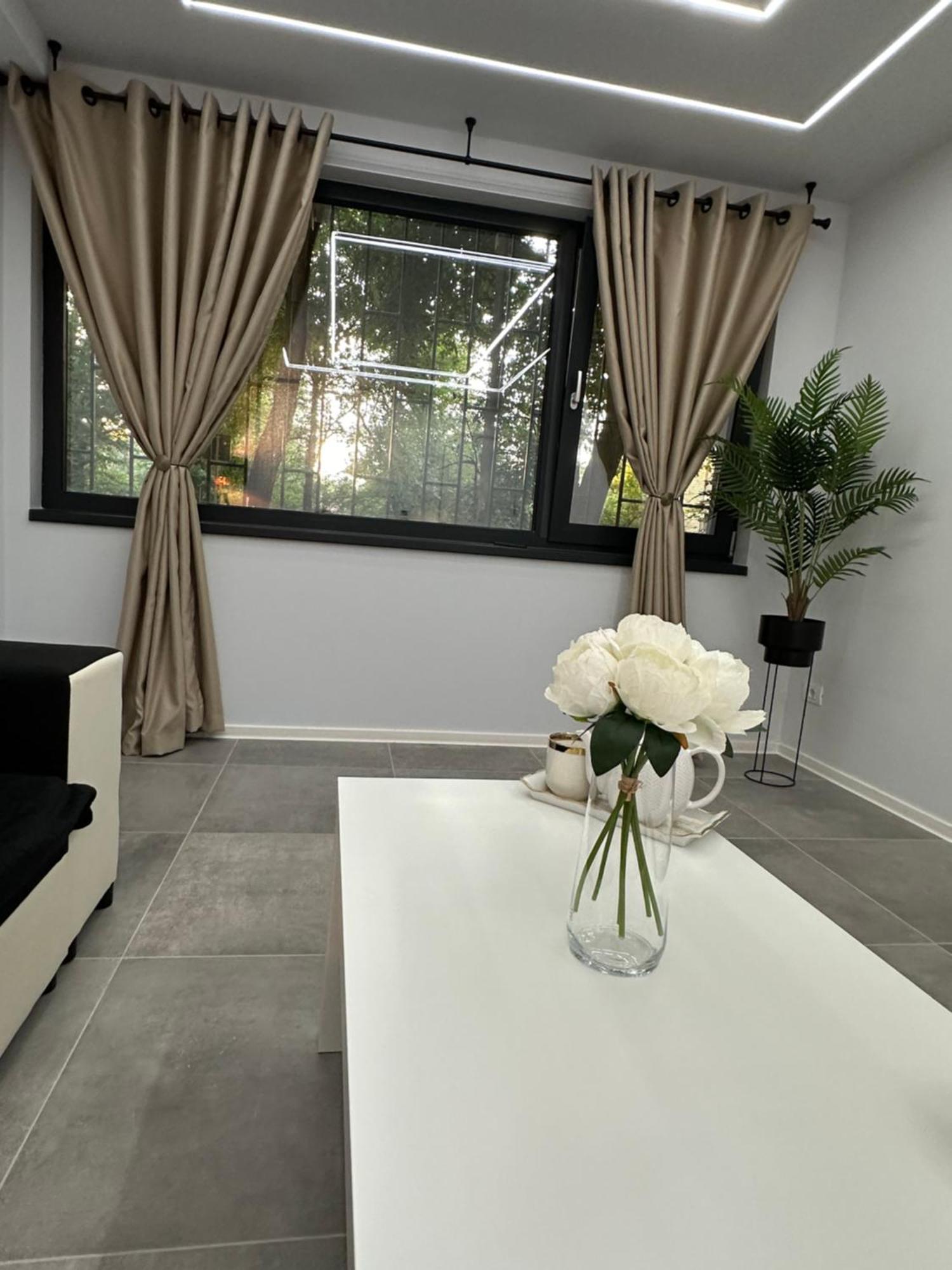 Ppu Home Temešvár Exteriér fotografie